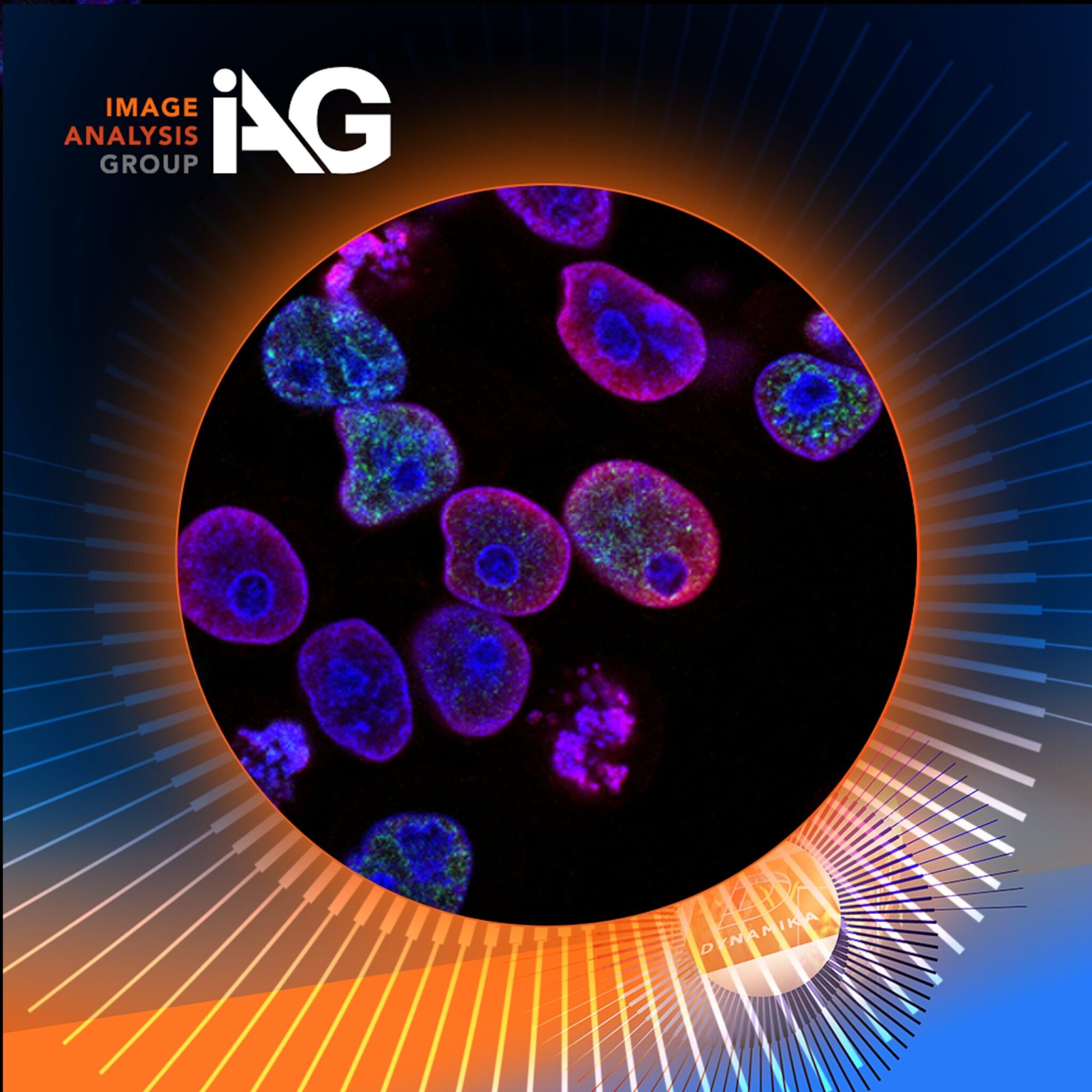 Oncology better medicine